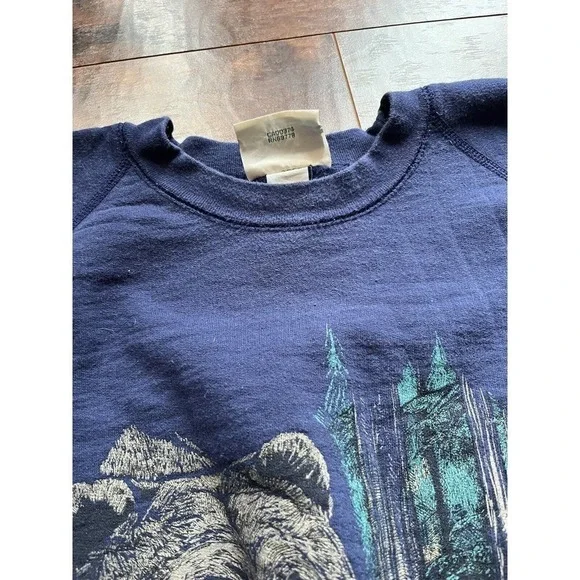 Vintage Northern Reflection Bear Print Crew neck Sweatshirt Mens Size XL - Picture 2 of 8